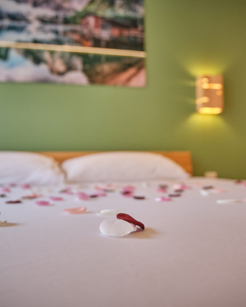La Suite Scandinave_027_@fantinravel