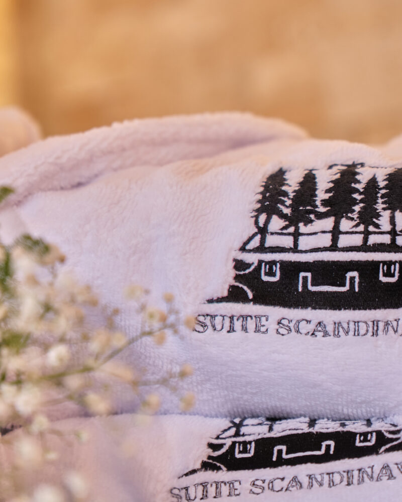 La Suite Scandinave_029_@fantinravel